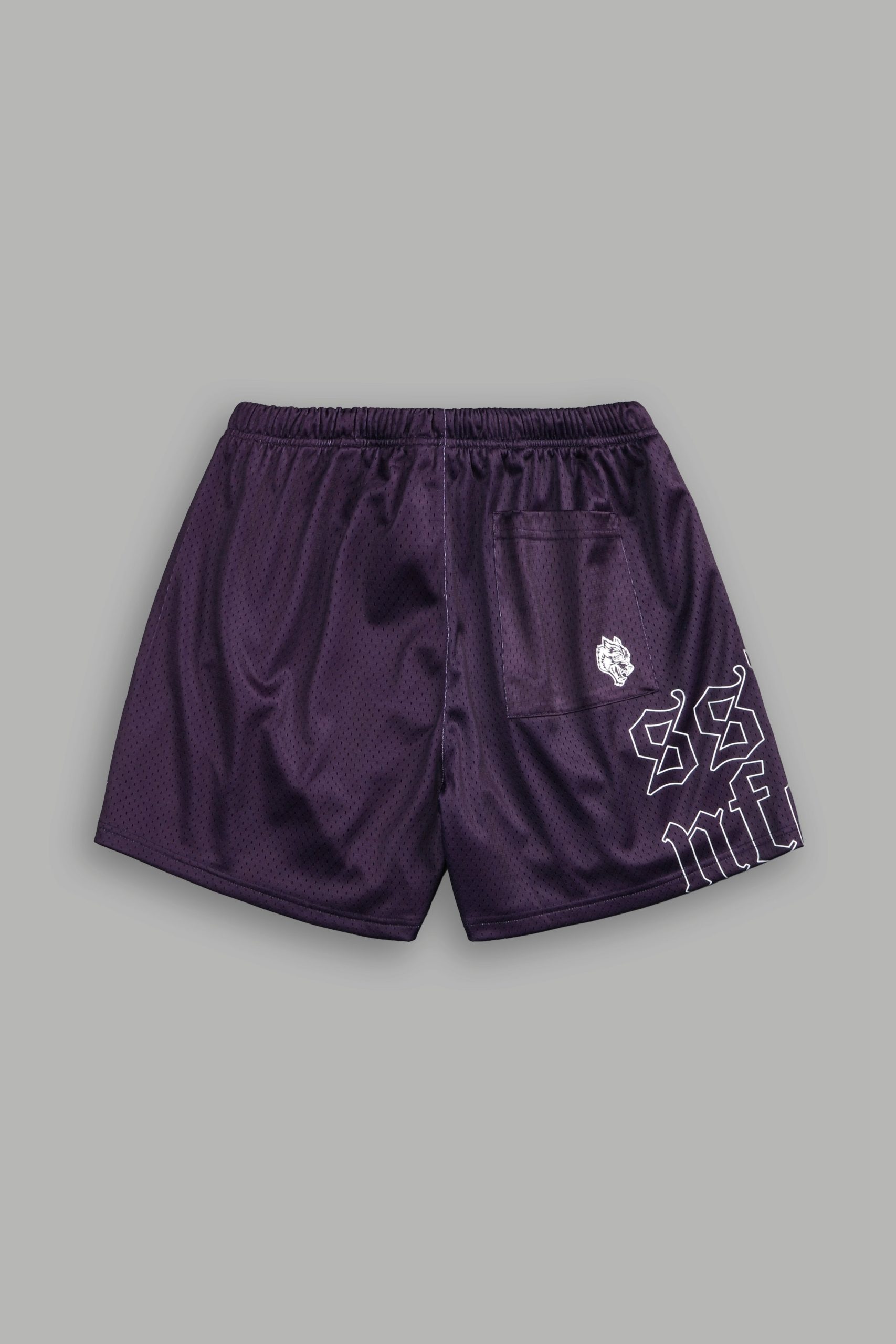 Piledriver Mesh Shorts in Phantom Purple - Image 3