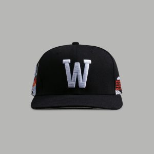 The Snake and The Rose Fitted Hat in Black