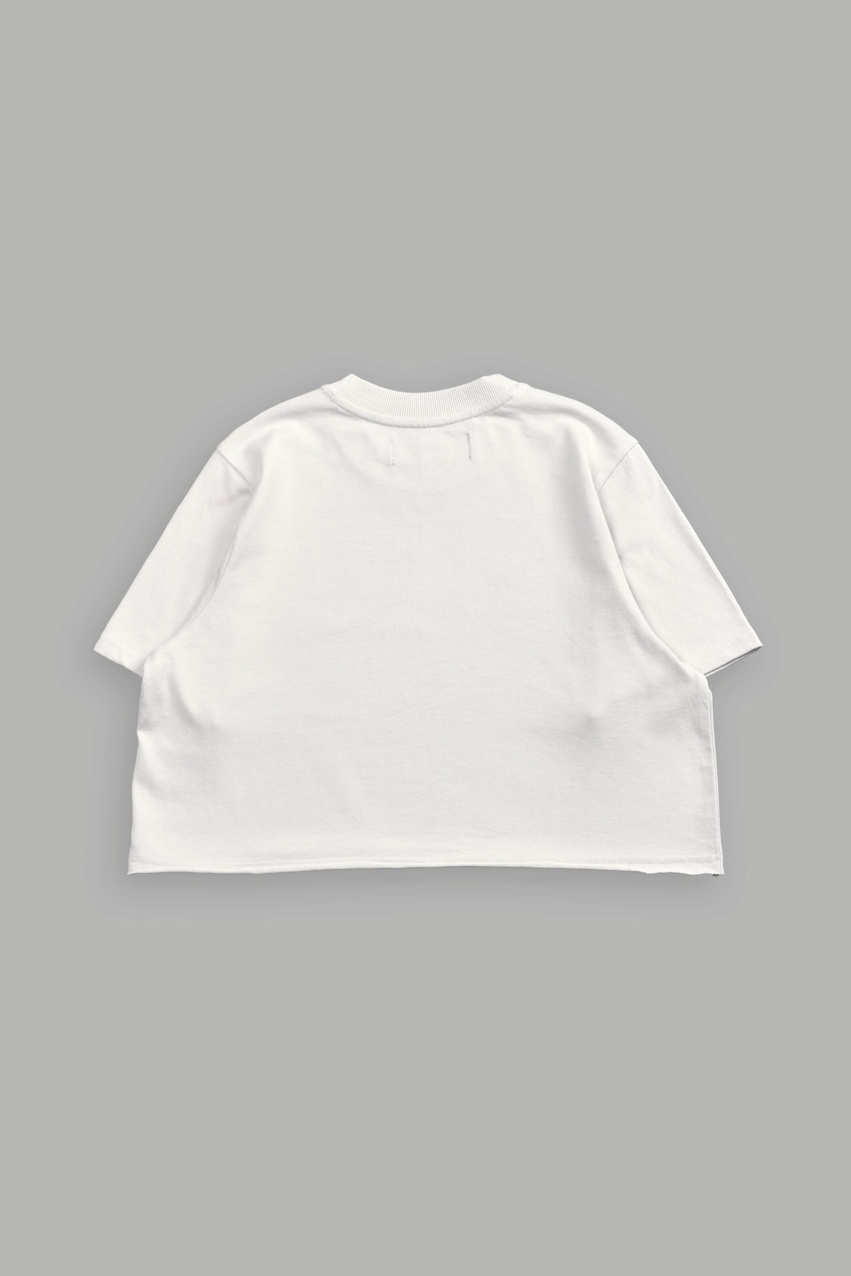 Pyramid V2 Premium (Cropped) Tee in Stone - Image 4