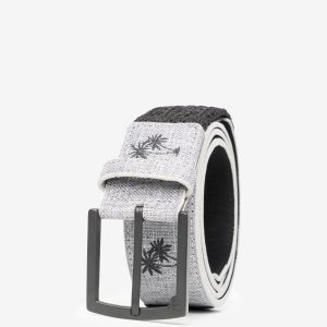 Windfall Canvas Stretch Belt