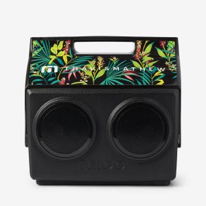 Save One For Later Kooltunes Cooler