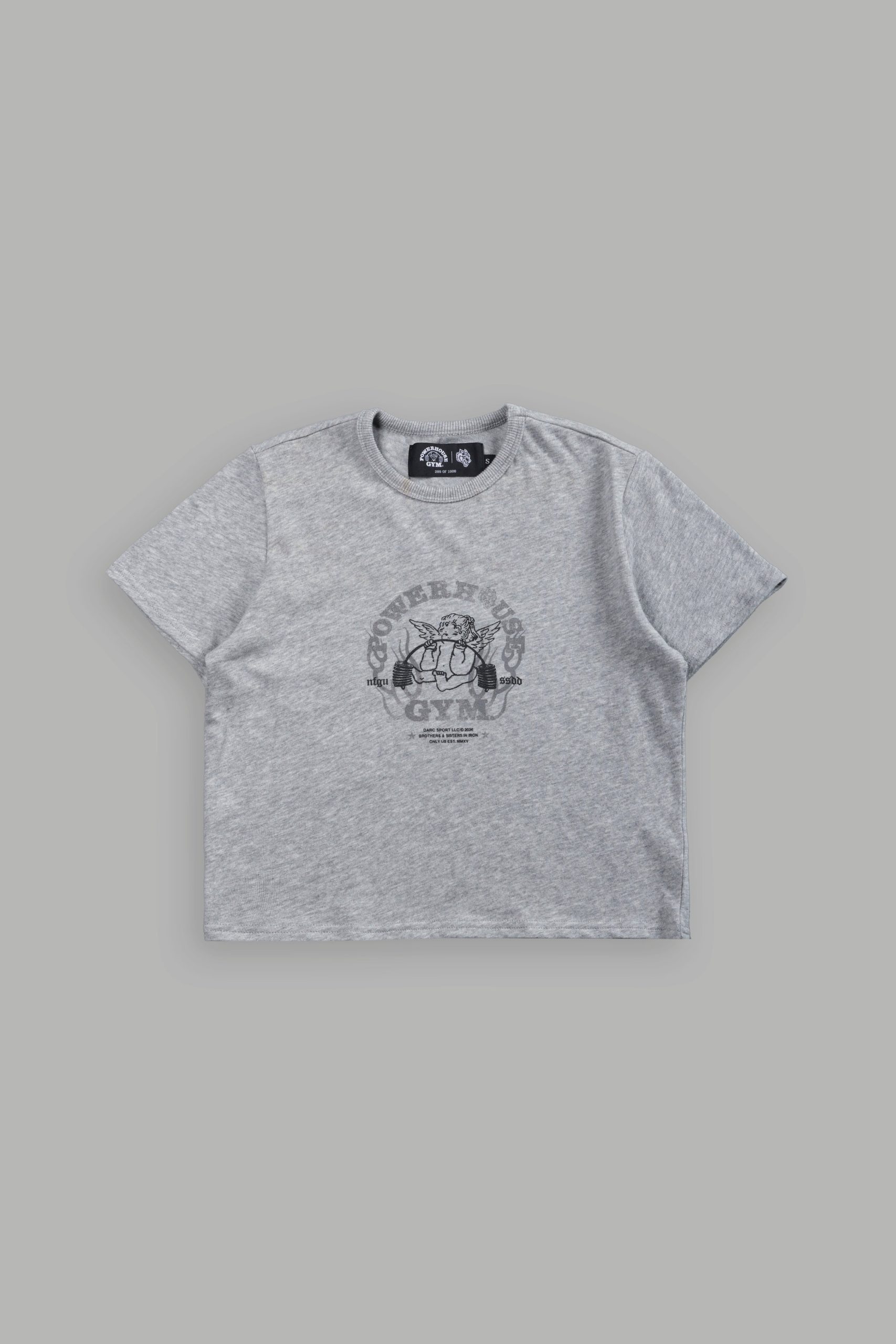 Powerhouse of the Cherub Timeless Tee in Light Athletic Gray - Image 5