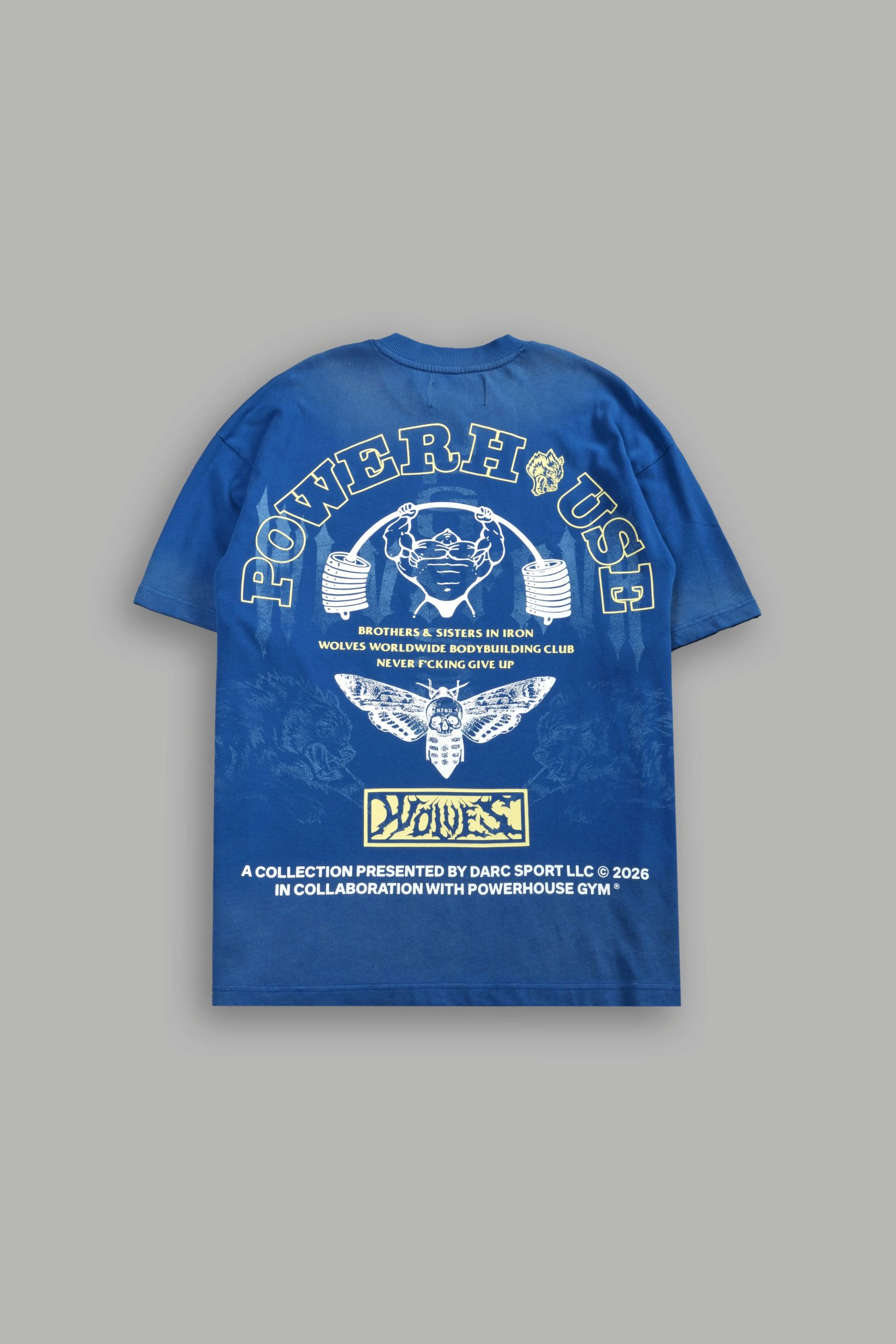 Powerhouse Moth Premium Oversized Tee in Darc Cobalt Drift Wash - Image 3