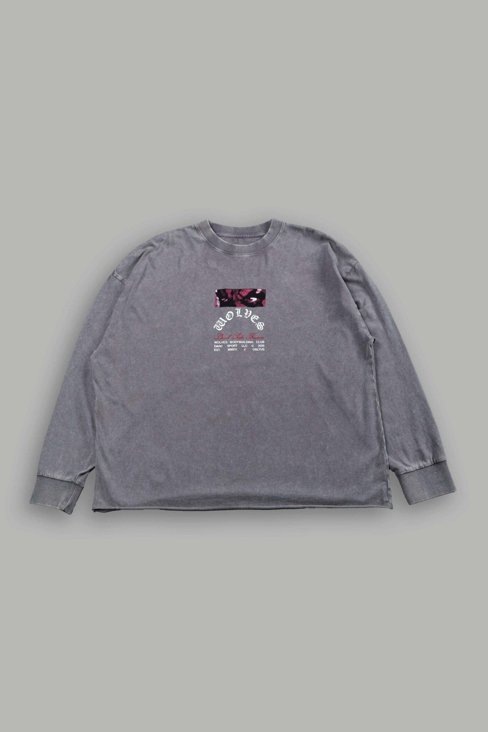 The Shadow Grunge Mid Length Raw Hem Ls Tee in Slate Gray - Image 2