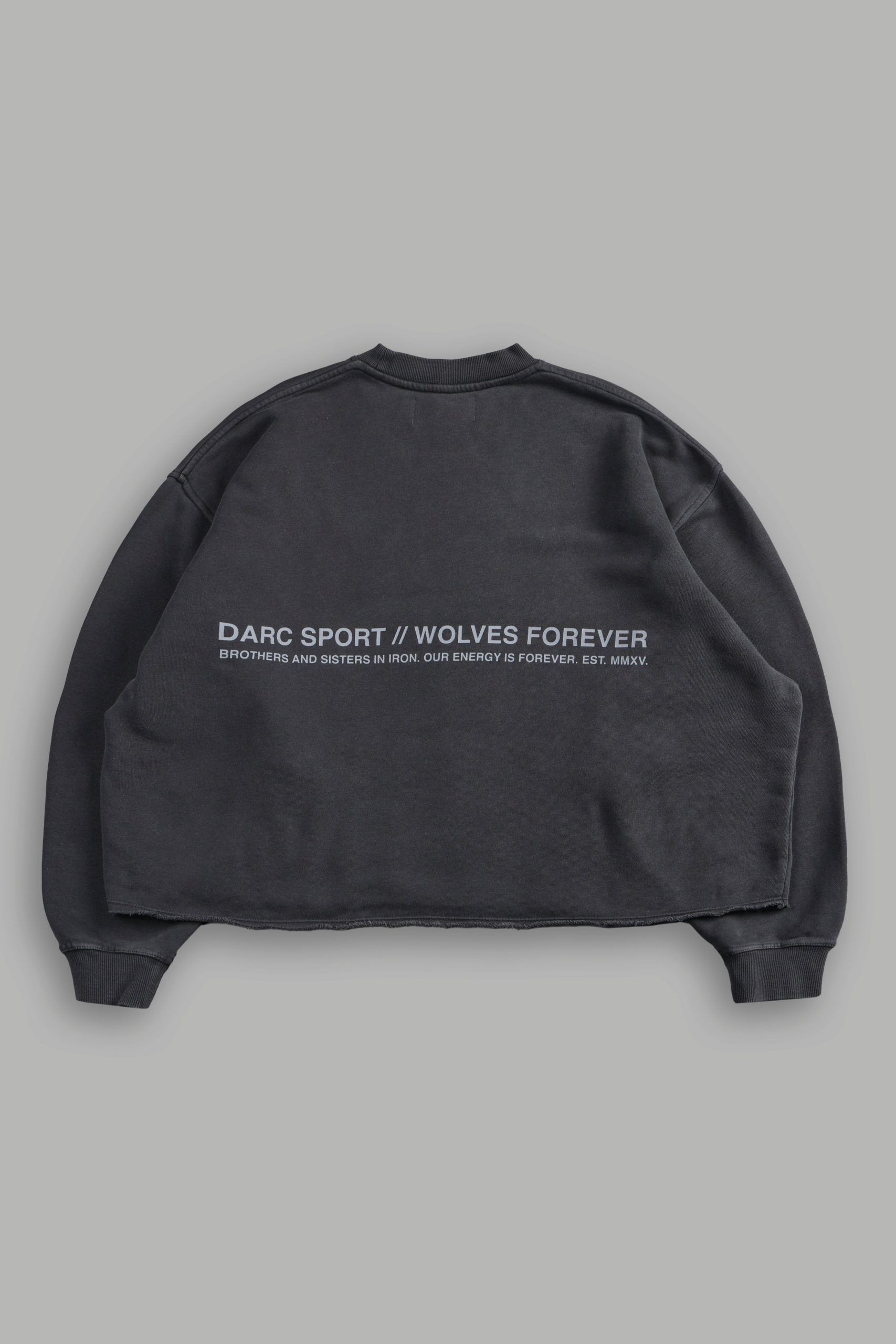 Pyramid Wolves Raw Hem Box Cut Crewneck in Wolf Gray - Image 3