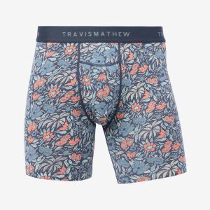 Day Cruise Boxer