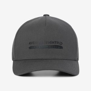 Hail To The King Snapback Hat