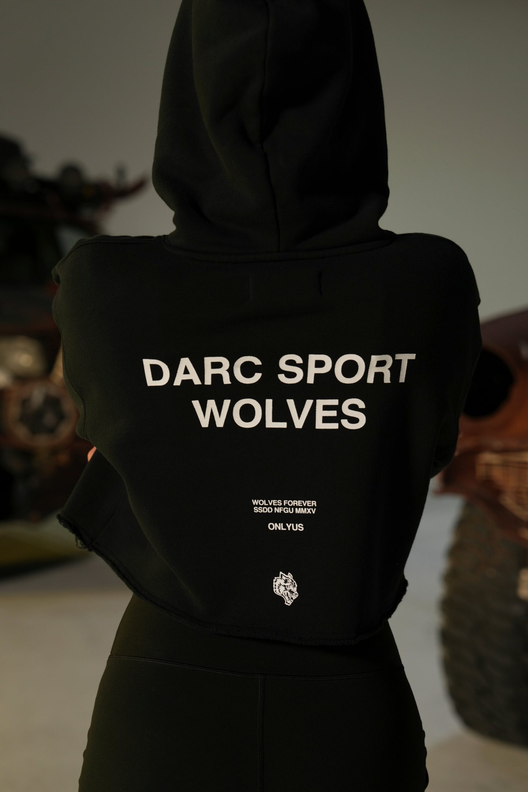 Darc Sport Wolves Pierce (Cropped) Hoodie in Black - Image 5
