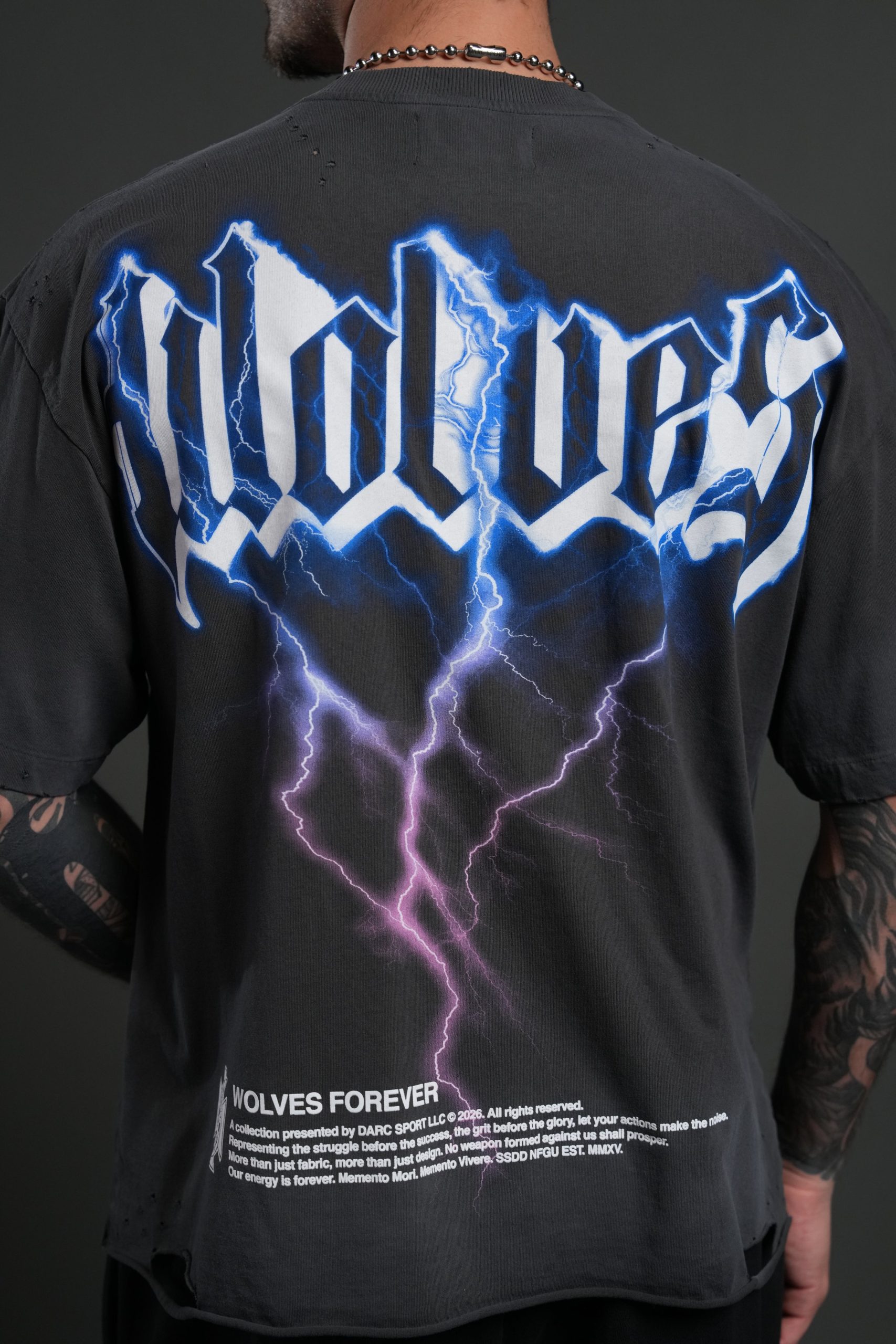 Wolves Lightning Distressed Grunge Tee in Wolf Gray Drift Wash - Image 6