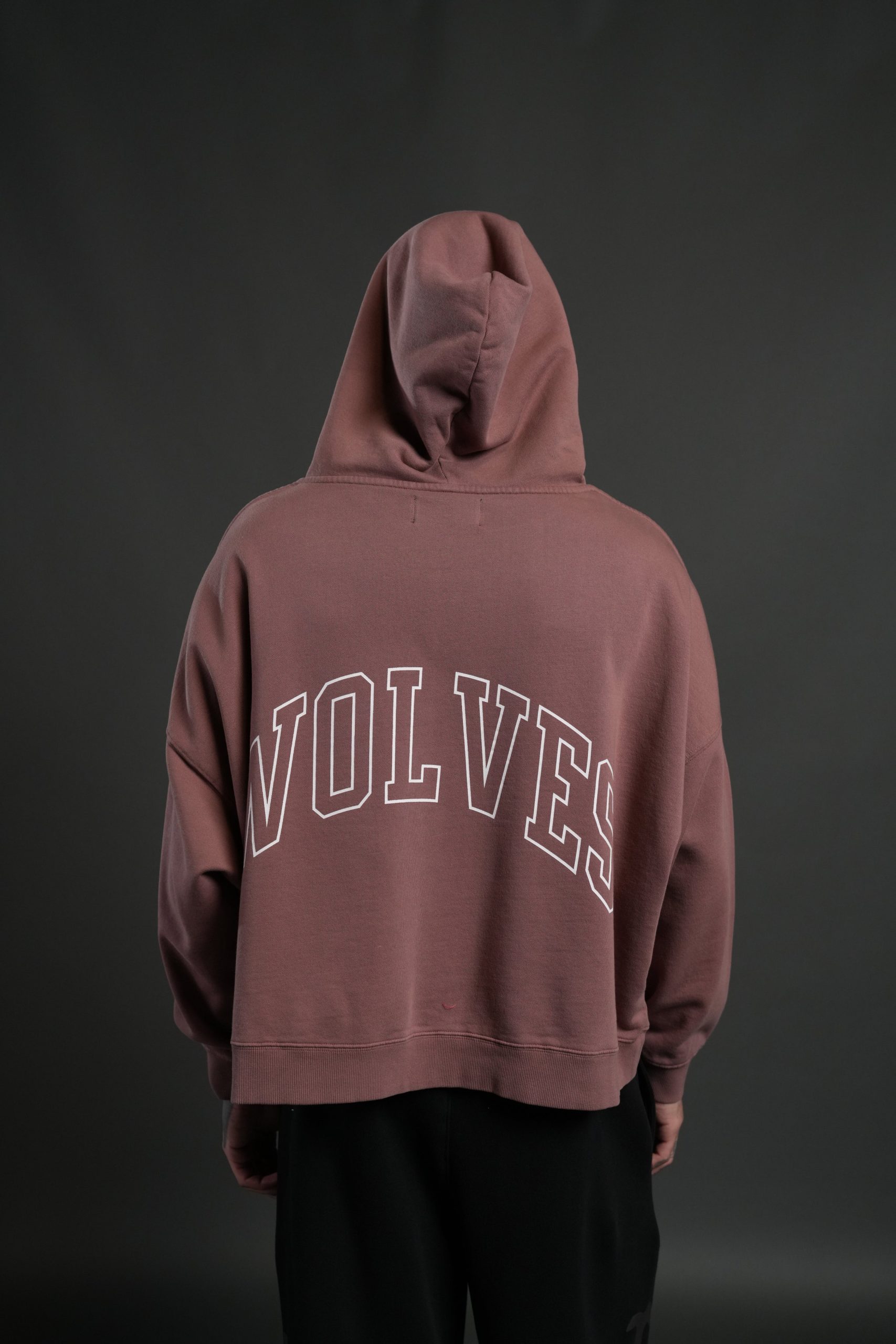 Wolf of the Flame Grunge Gage Box Cut Hoodie in Mauve - Image 2