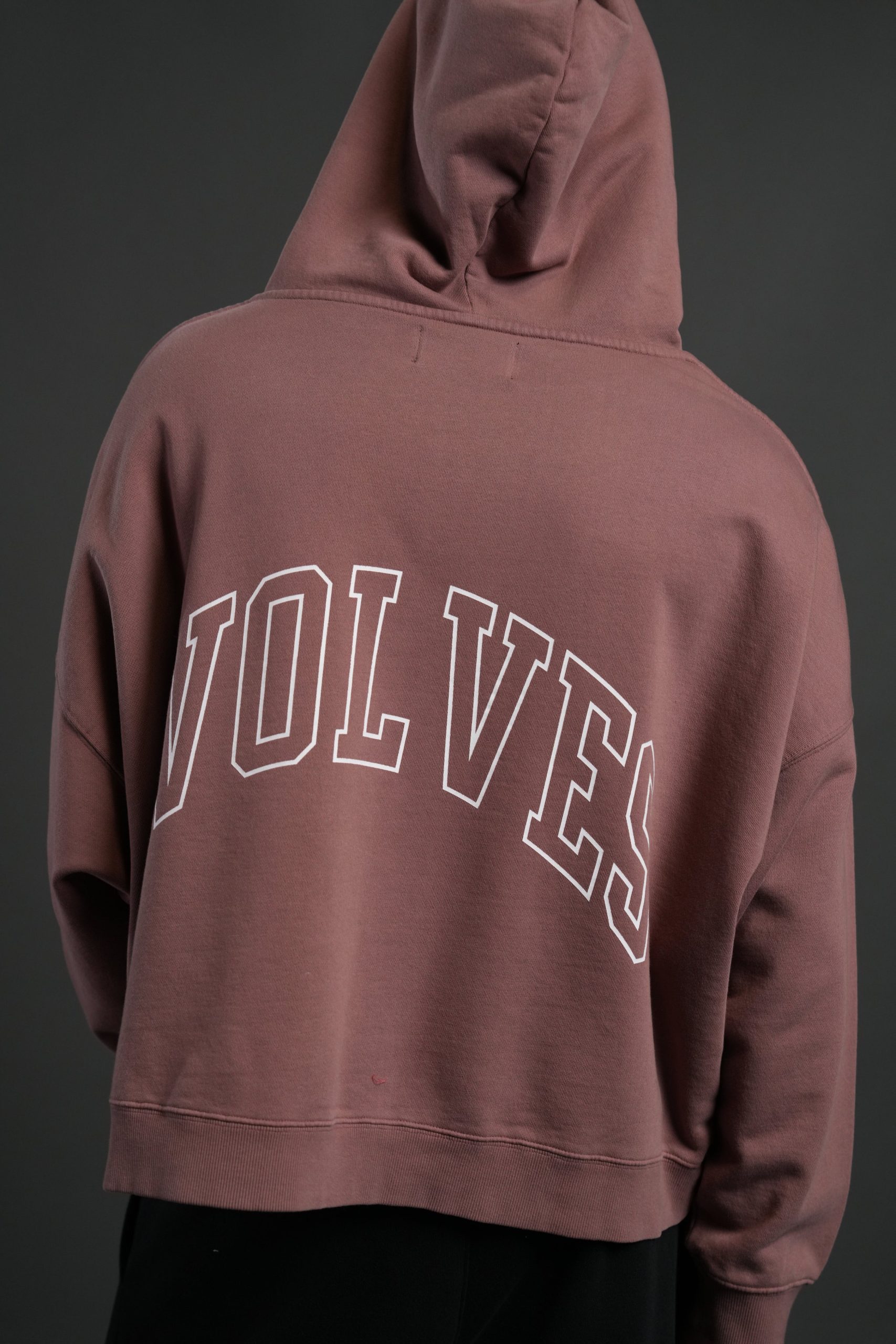 Wolf of the Flame Grunge Gage Box Cut Hoodie in Mauve - Image 5